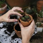 Rad u Nemackoj posao baštovan 2018 – opšti rad u bašti sadnja i orezivanje