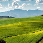 POSAO NOVI ZELAND 2022 – Rad na poljoprivrednom imanju